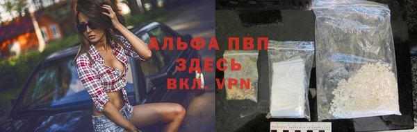 сатива Богданович