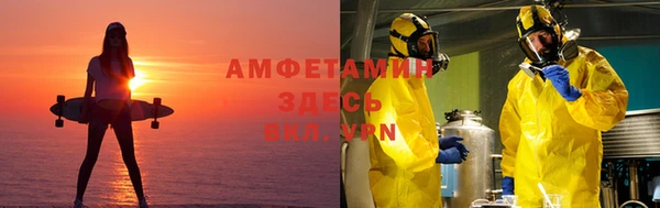 сатива Богданович