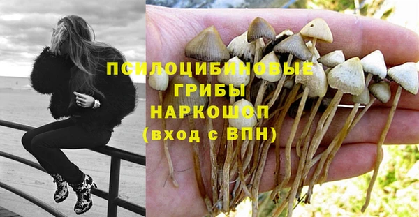 соль ск Балабаново