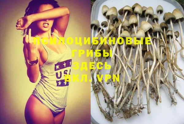 MDMA Premium VHQ Весьегонск