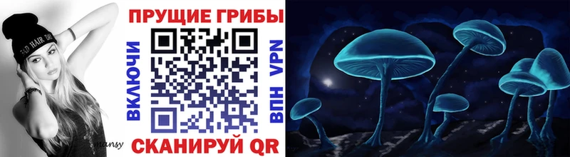 Галлюциногенные грибы MAGIC MUSHROOMS  Гороховец 